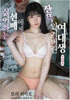 高清视频在线观看完整版 岁月如歌